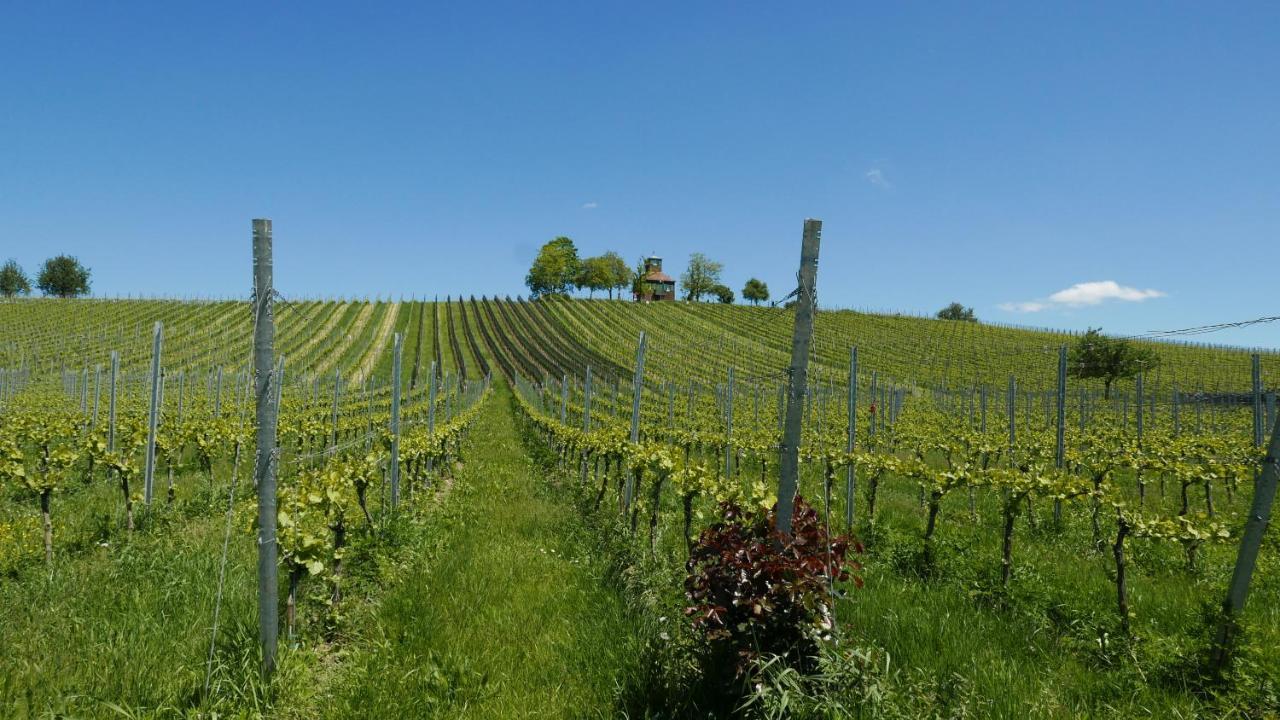 Apartament Haus Muensterblick Reichenau Zewnętrze zdjęcie